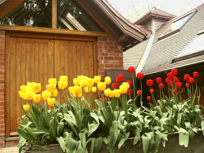 3 Bedroom Detached House To Rent In Mordiford, Hereford, HR1