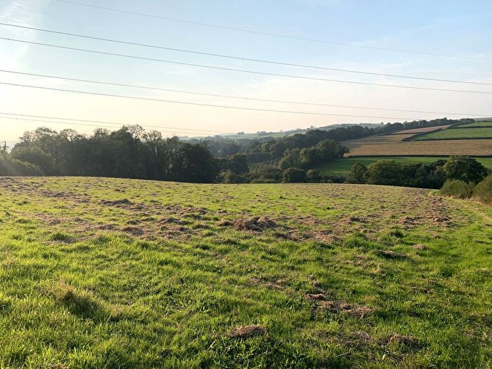Land For Sale In Woodland, Ashburton, Newton Abbot, TQ13