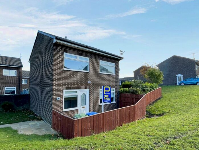 3 Bedroom Detached House To Rent In Sunny Blunts, Peterlee, Durham, SR8