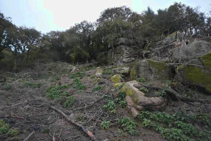 Land For Sale In Westcott Lane, Bridford, Moretonhampstead, Devon, TQ13