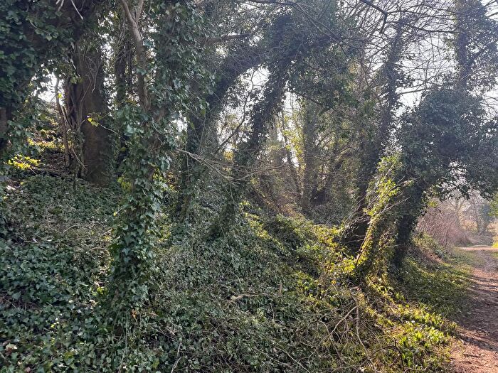 Property For Sale In Ebbesbourne Wake, Salisbury, SP5