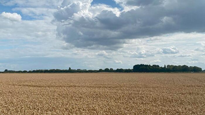 Farm Land For Sale In Grade Arable Land At Tydd St. Mary, Wisbech, Lincolnshire, PE12