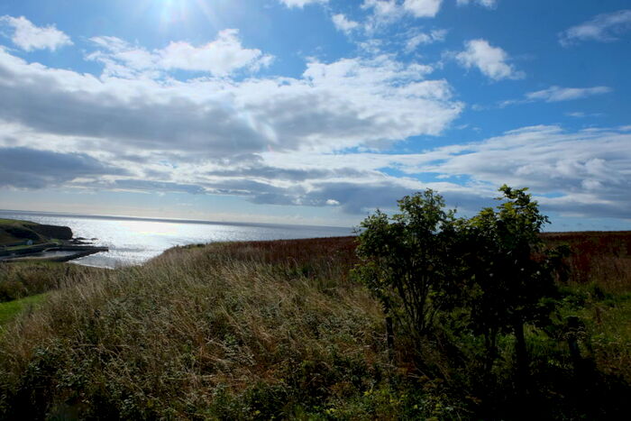 Land For Sale In Balnabruich, Plot, KW6