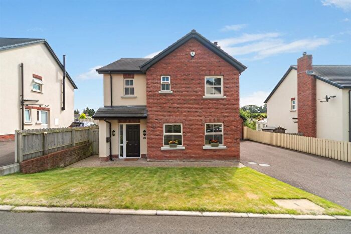 3 Bedroom Detached House For Sale In Drumlin View, Dromore, BT25