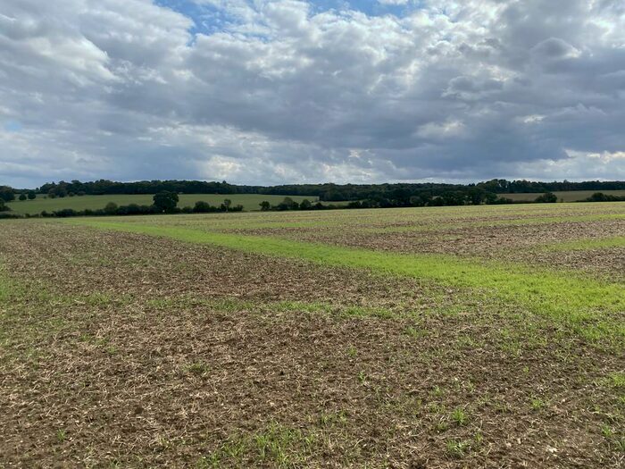 Farm Land For Sale In Land At Kirtling (Lot ), Newmarket, CB8