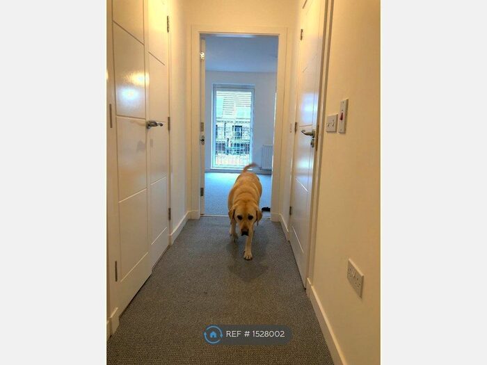 2 Bedroom Flat To Rent In Griffin Road, Edinburgh, EH4