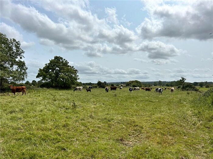 Land For Sale In Street Drove, Street, Somerset, BA16