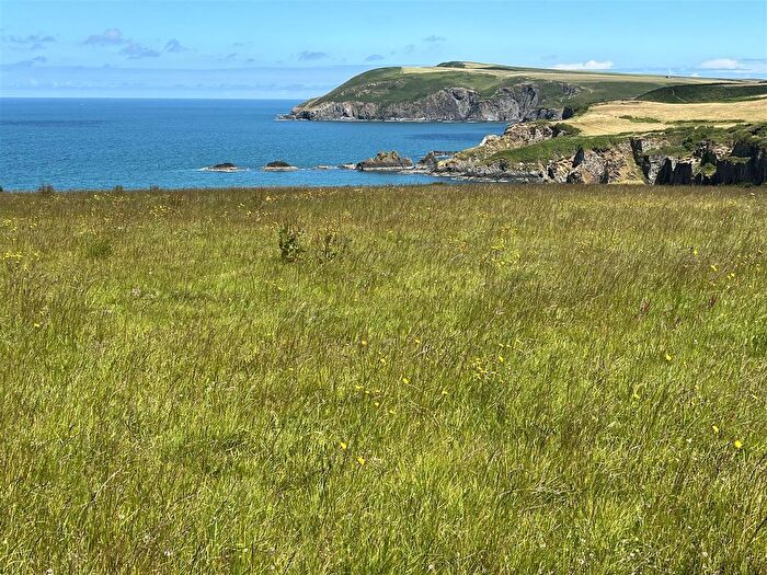 Land For Sale In Dinas Cross, Newport, SA42