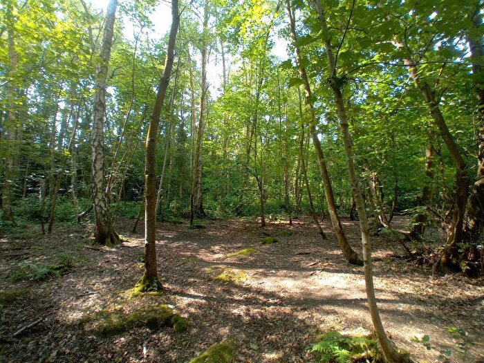 Land For Sale In Larkspur View, Wokingham, RG41