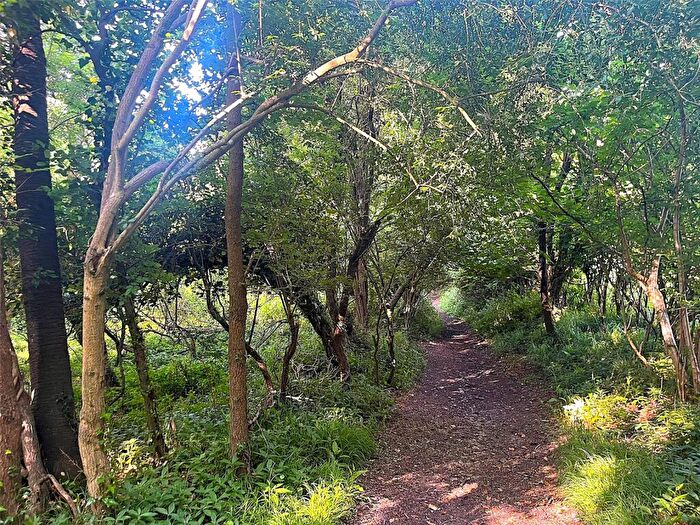 Land For Sale In Woodland At Fownhope, Hereford, Herefordshire, HR1