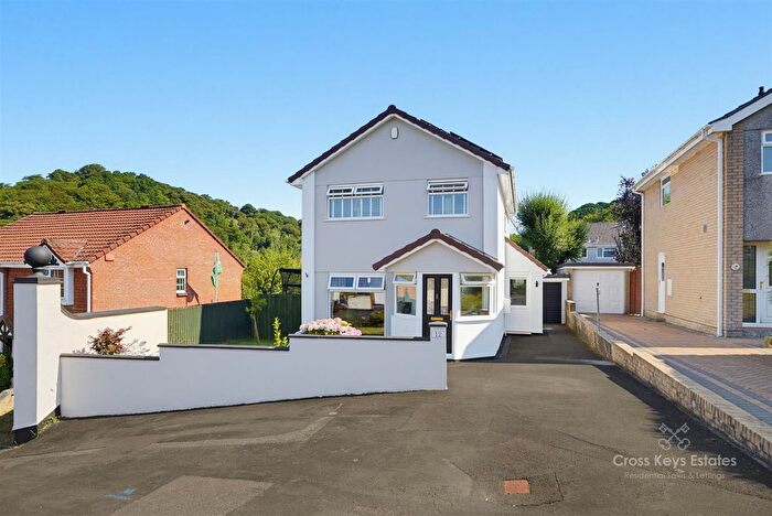 3 Bedroom Detached House To Rent In Holly Park Close, Holly Park, PL5