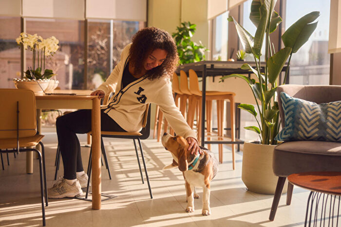 Apartment To Rent In Leodis Square, Leeds, LS11