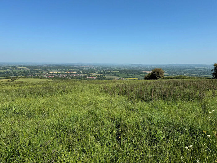 Land For Sale In Plot, Land At Okeford Hill, Blandford Forum, Dorset, DT11