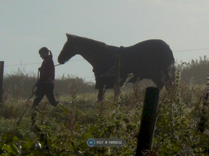 2 Bedroom Semi-Detached House To Rent In Sentry Meadows, Pelynt, PL13