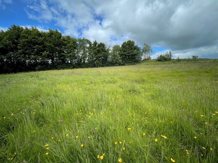 Land For Sale In Milton Abbas, Blandford Forum, DT11