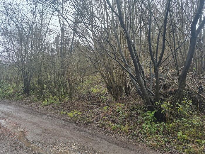 Land For Sale In Plot, The Den, Rhodendron Avenue, Meopham, Kent, DA13