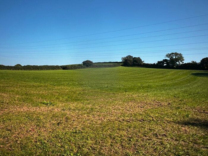 Land For Sale In Lot Near Ugborough, Ivybridge, PL21