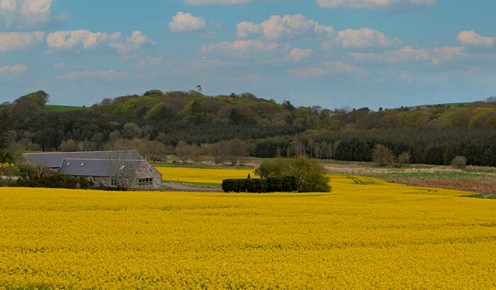 7 Bedroom Detached House For Sale In Milltown Steading, Drumwhindle, Ellon, Aberdeenshire, AB41