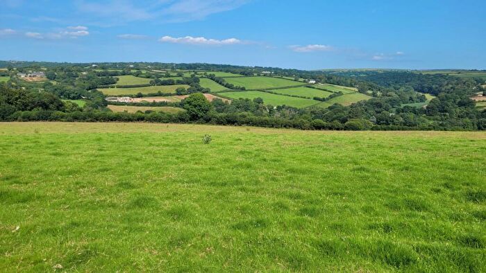 Land For Sale In Tresarrett, Bodmin, PL30