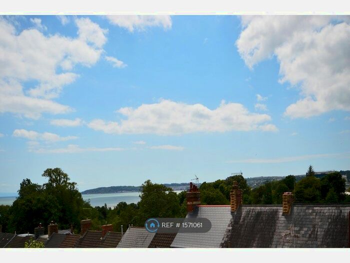 4 Bedroom Terraced House To Rent In Chesshyre Street, Brynmill, Swansea, SA2