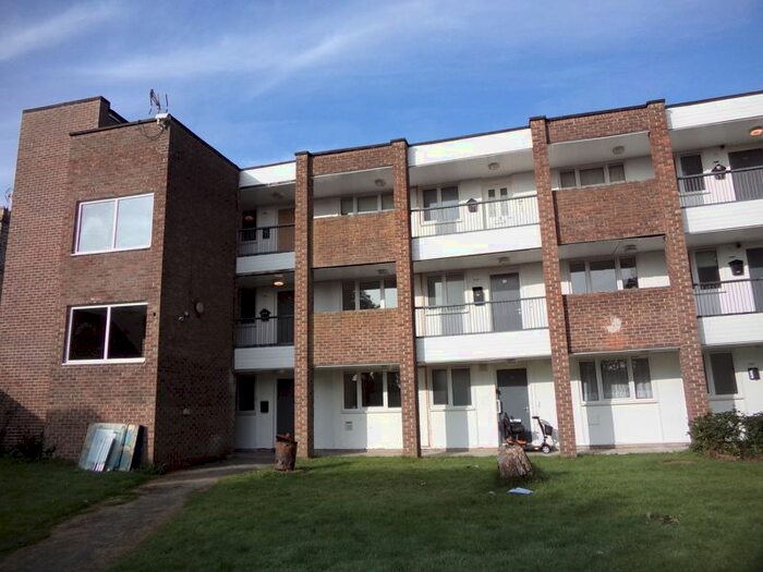 Houses to rent in Auckland, DL14, County Durham