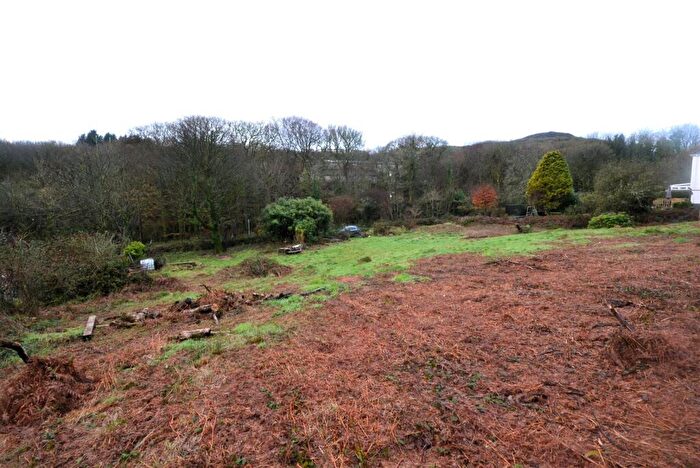 Land For Sale In Carbean, St. Austell, PL26