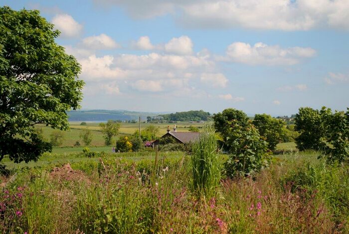 Land For Sale In Ethie, Arbroath, Angus, DD11