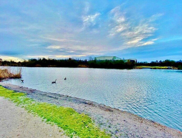 1 Bedroom Flat To Rent In Marigold Walk, Bermuda Park, Nuneaton, CV10