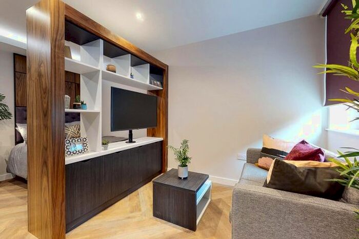 Studio To Rent In Apt, Live Oasis Wade Lane #, LS2