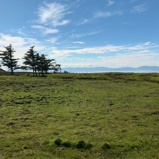 Property For Sale In No & Crofts, South Erradale, Gairloch, IV21