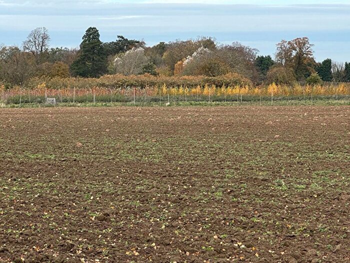 Farm Land For Sale In The Wroe, Emneth, Wisbech, PE14