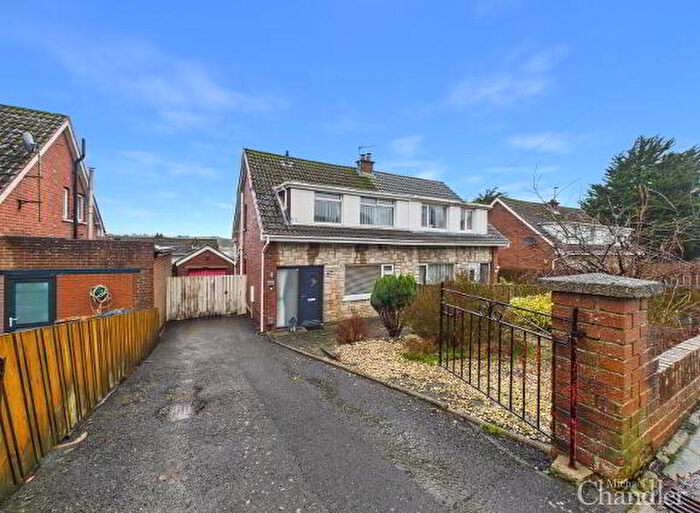 3 Bedroom Semi-Detached House For Sale In Ivanhoe Avenue, Belfast, BT8