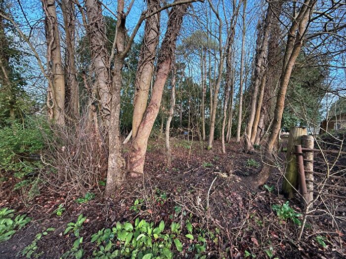 Land For Sale In Whitmoor Lane, Sutton Green, Guildford, GU4