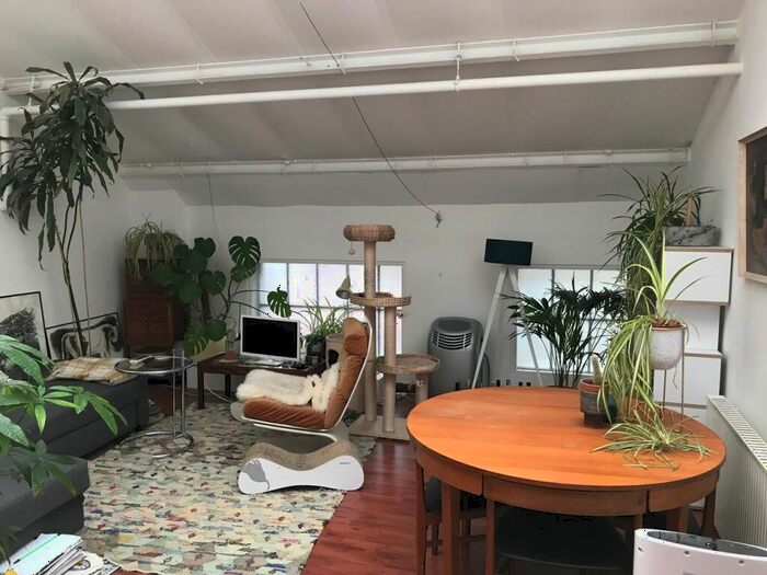 1 Bedroom Flat To Rent In Leswin Road, London, N16