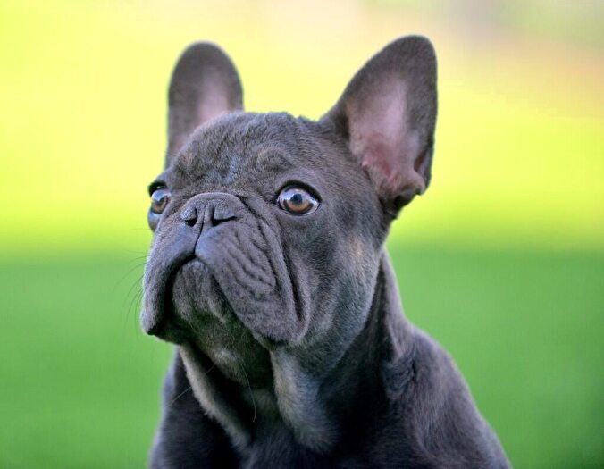 2 Bedroom Apartment To Rent In Apartment, The Forum, Pershore Street, Birmingham, B5