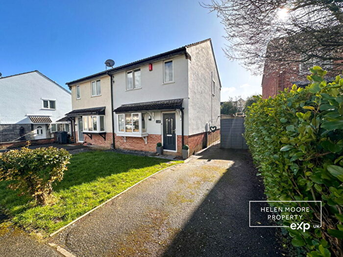 3 Bedroom Semi-Detached House For Sale In Woolms Meadow, Ivybridge, Devon, PL21