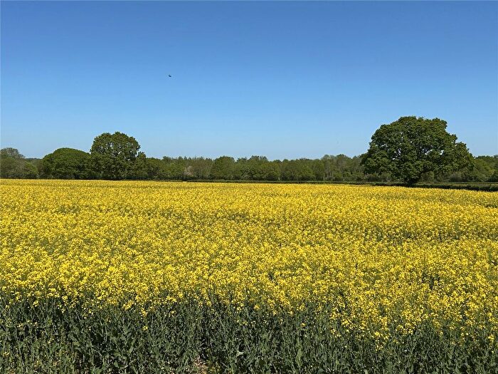 Land For Sale In Ilminster, Somerset, TA19