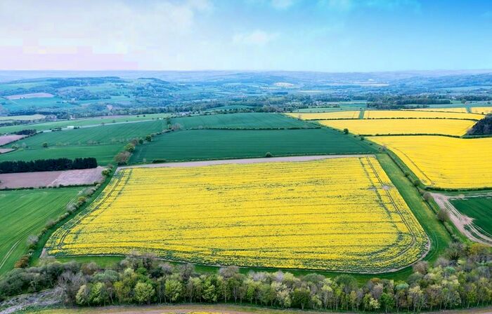 Farm Land For Sale In Land Near Brocksbushes, Stocksfield, NE43