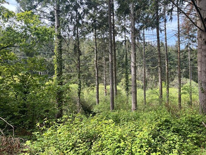 Land For Sale In Lot : . Acres Of Woodland At Bolsters Wood, Exeter, EX4