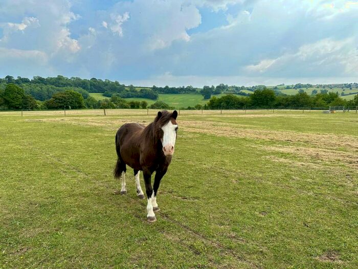 Land For Sale In Midford, Bath, BA2