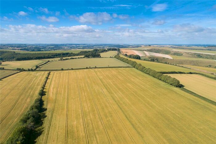 Land For Sale In Ashmore, Shaftesbury, SP5