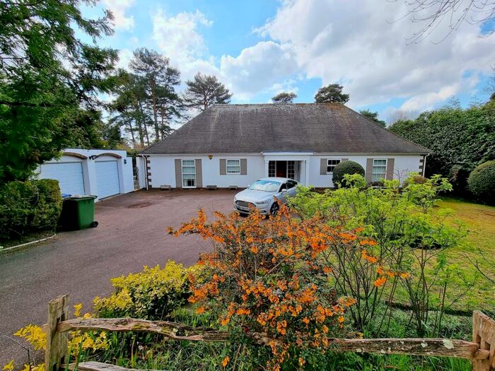 3 Bedroom Detached Bungalow To Rent In Nyetimber Copse, West Chiltington, RH20