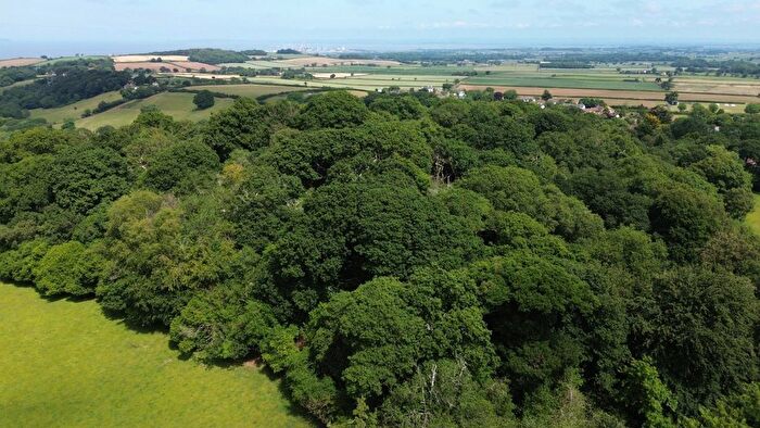 Land For Sale In Holford, Bridgwater, Somerset, TA5