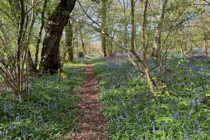 Property For Sale In Land At Oakley Wood, Benson, Wallingford, OX10