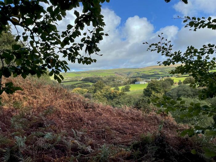 Land For Sale In Challacome, Exmoor National Park, Barnstaple, EX31