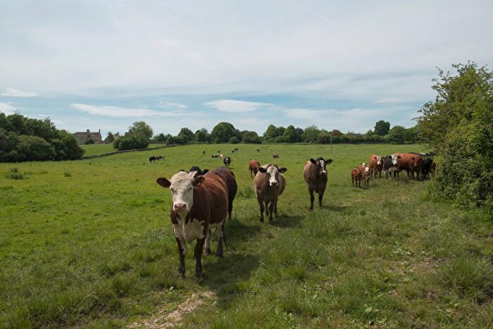 Land For Sale In Southrop, Lechlade, Gloucestershire, GL7