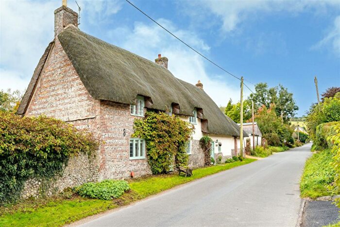 7 Bedroom Detached House To Rent In West Street, Winterborne Stickland, Blandford Forum, DT11
