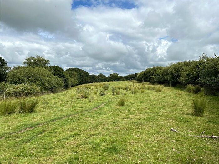 Land For Sale In Whitstone, Holsworthy, Cornwall, EX22
