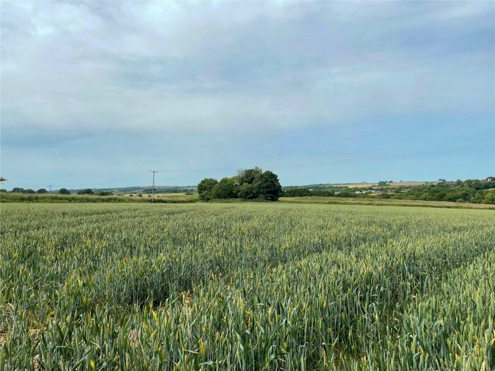 Land For Sale In Land At Broadwoodkelly, Winkleigh, Devon, EX19