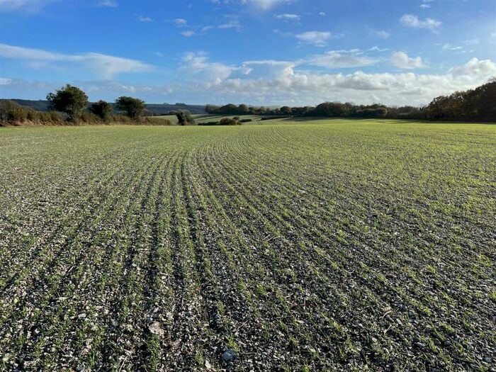 Land For Sale In Minterne Magna, Dorchester, Dorset, DT2